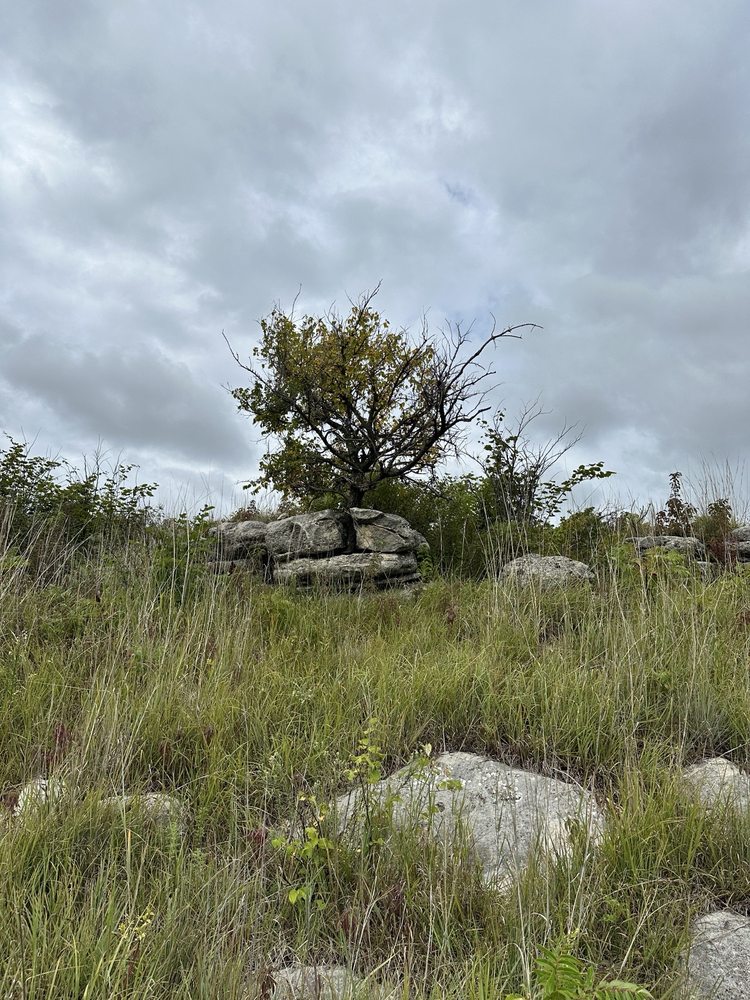 Konza Prairie