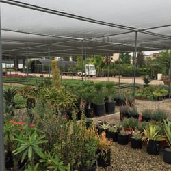 Green Thumb Growing Grounds