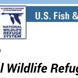 Delevan National Wildlife Refuge