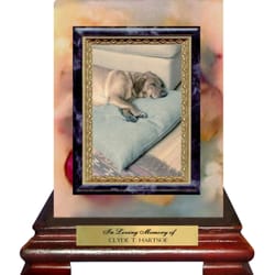 Pet Memorial Candle Light - Medium Square electric shown