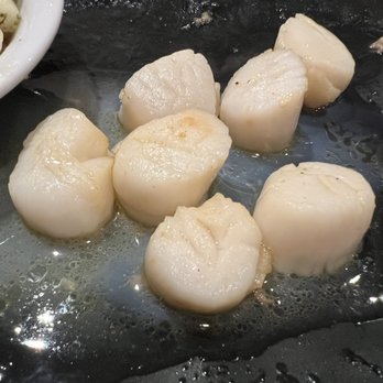 Boathouse Restaurant - Scallops sitting in oily water - Seafood Near Me - Wilmington, North Carolina Boathouse Restaurant - Scallops sitting in oily water - Seafood Near Me - Wilmington, North Carolina