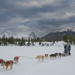 Durango Dog Ranch