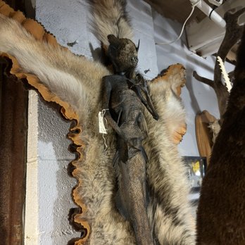 Curiosities - Make sure you look up - Antiques Near Me - Dallas, Texas