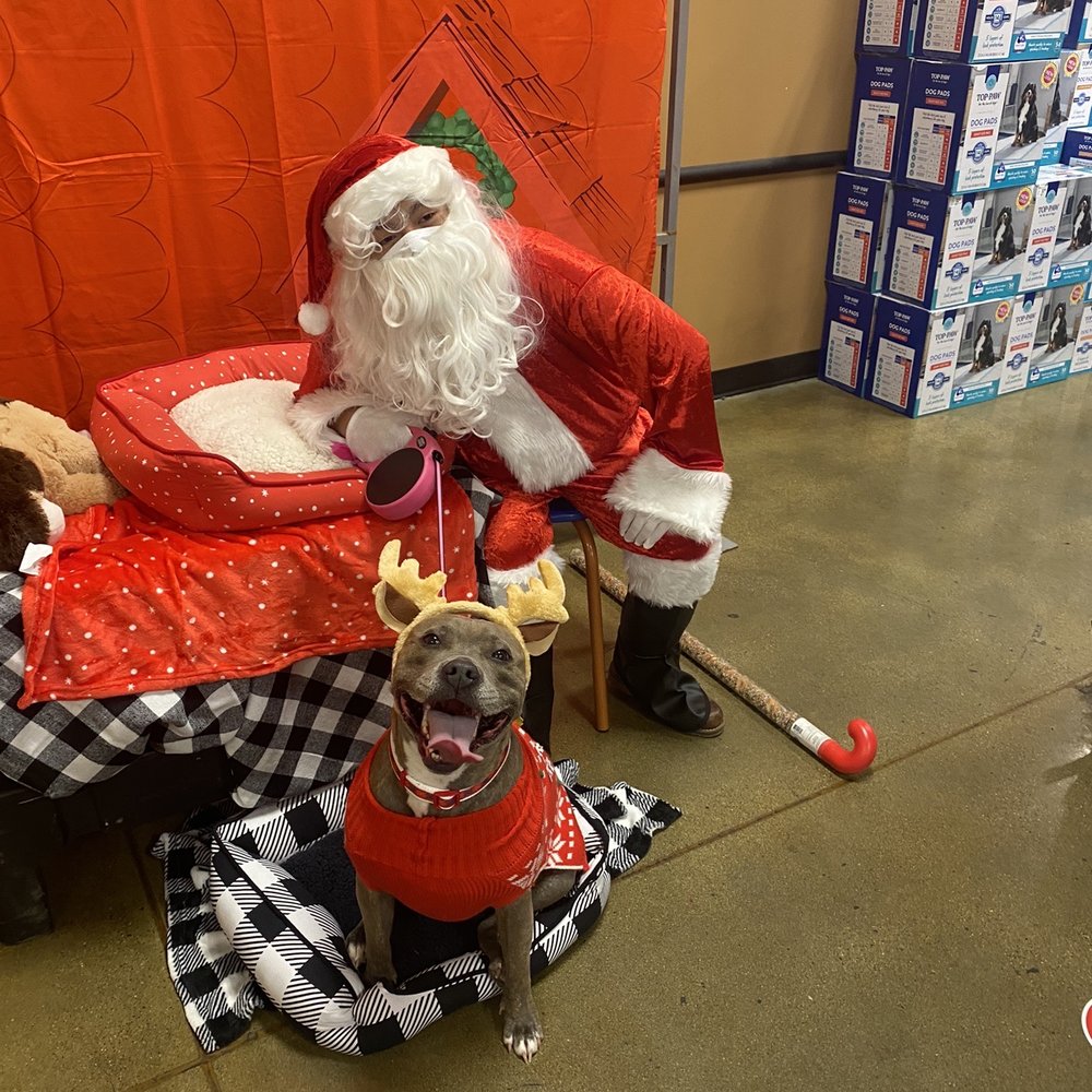 PetSmart - Santa pic - Pet Stores Near Me - Pinole, California PetSmart - Santa pic - Pet Stores Near Me - Pinole, California