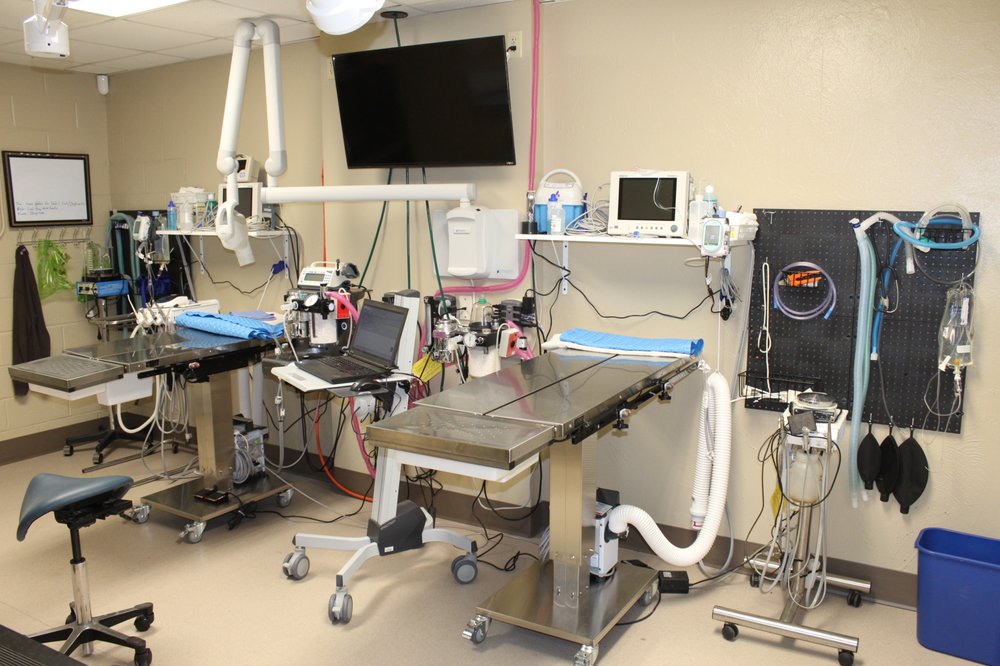 VETERINARY DENTAL CLINIC OF NORTH CAROLINA Updated October 2024