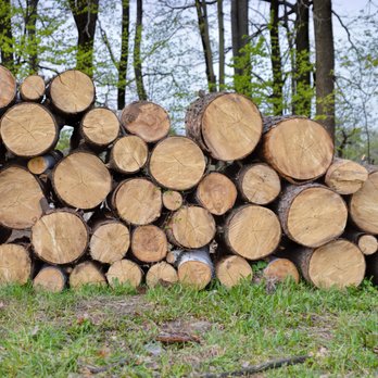 Hutson Tree Service - Commercial Logging - Tree Services Near Me - La Crosse, Wisconsin