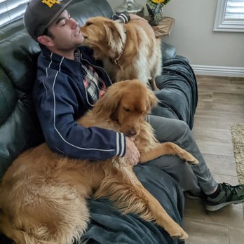 Family Pet Sitting - Rocky and Isla cuddling up with Matthew from Family Pet Sitting November 2022 - Pet Sitting Near Me Family Pet Sitting - Rocky and Isla cuddling up with Matthew from Family Pet Sitting November 2022 - Pet Sitting Near Me