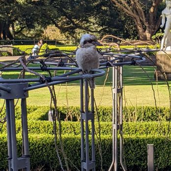 Royal Botanic Gardens - Botanical Gardens Near Me - Sydney, NSW Royal Botanic Gardens - Botanical Gardens Near Me - Sydney, NSW