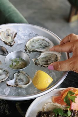 Red Herring Restaurant & Bar by null