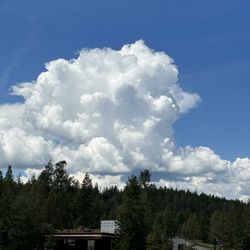 Far West Boat Tours - I want to go back.