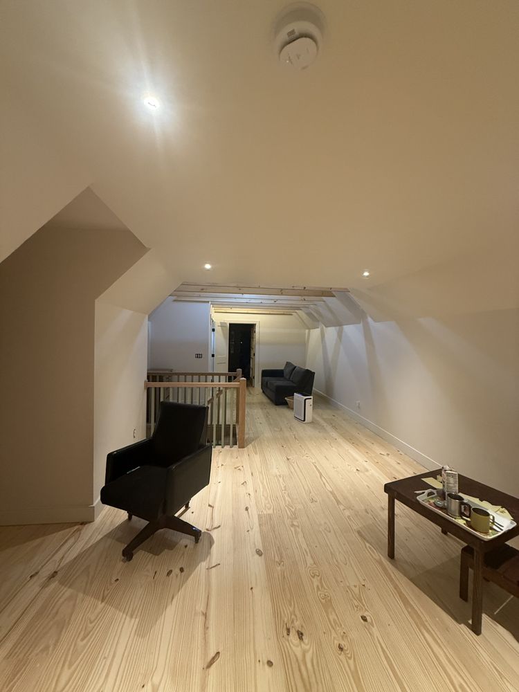 Slide of Pedretti’s Painting