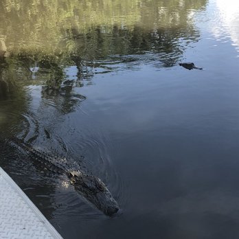 Airboat Adventures - Boat Tours Near Me - Lafitte, Louisiana Airboat Adventures - Boat Tours Near Me - Lafitte, Louisiana