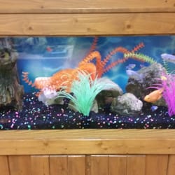 Unity Hospital - Fishies!