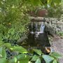 Photo of Tangled Garden