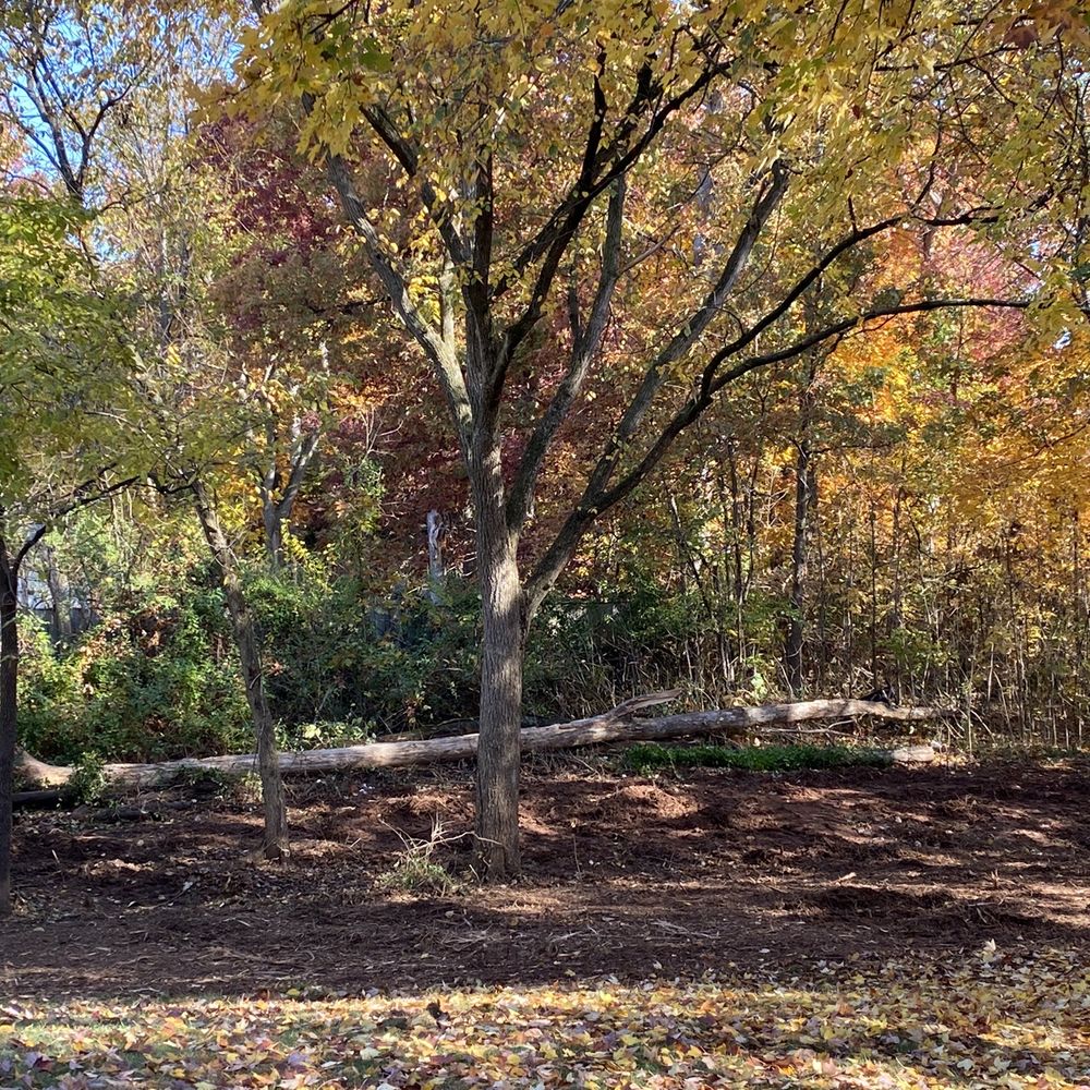 Virginia Forestry Mulching & Excavating - Excavation Services Near Me Virginia Forestry Mulching & Excavating - Excavation Services Near Me