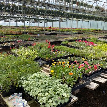 Hillcrest Nursery - Nurseries & Gardening Near Me - Woodburn, Oregon Hillcrest Nursery - Nurseries & Gardening Near Me - Woodburn, Oregon