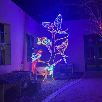 River Of Lights - Parrots - Festivals Near Me - Albuquerque, New Mexico