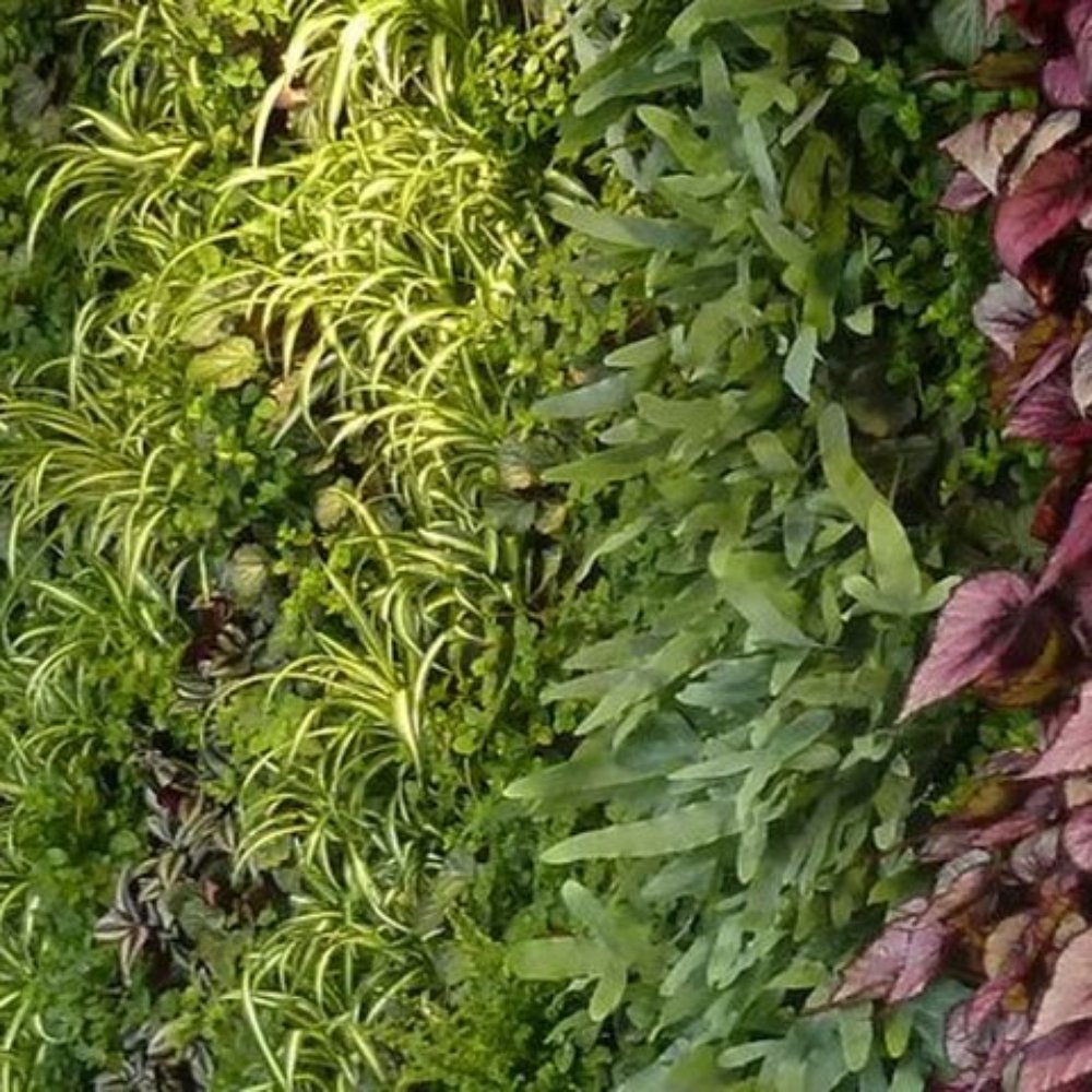 THE BEST 10 LANDSCAPING in BOLOGNA, ITALY - Updated 2025 - Hours - Yelp, image size:1000x1000