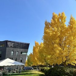 Yale Health Center - 10.30.2024