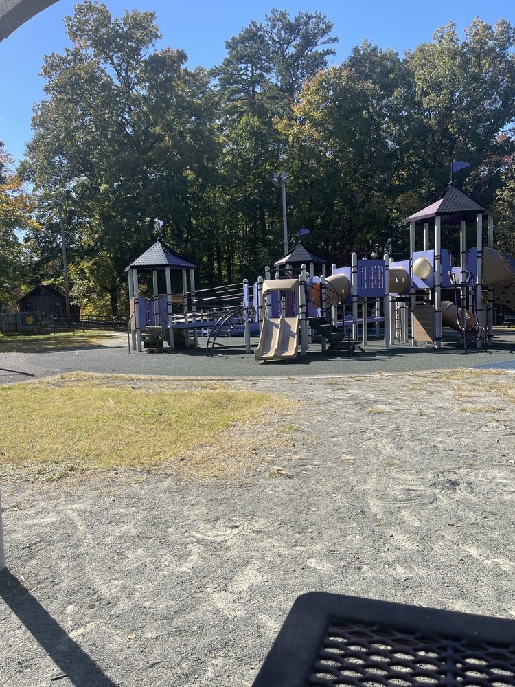 Morreene Road Park Image