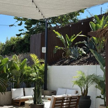 Kafe-Lum - A photo of the tropical-type decor - Coffee & Tea Near Me - Chula Vista, California Kafe-Lum - A photo of the tropical-type decor - Coffee & Tea Near Me - Chula Vista, California