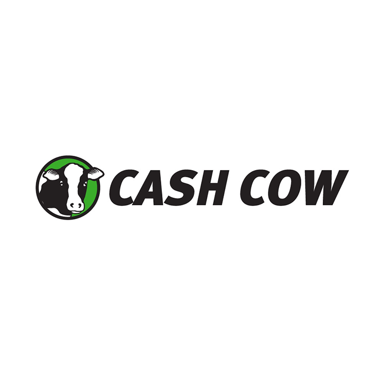 CASH COW 292 S Hollywood Rd, Houma, Louisiana Check Cashing/Payday