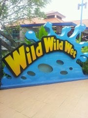 Wild Wild Wet by null