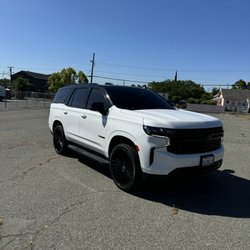 Exclusive Tints