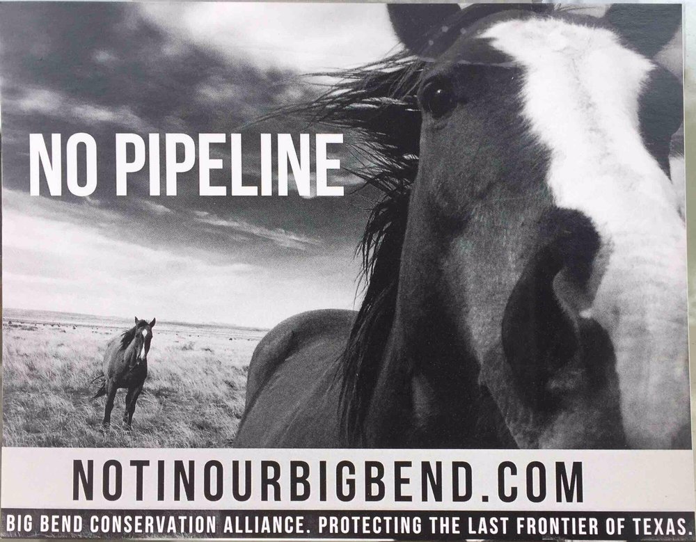 Social spots from Gallery On The Square