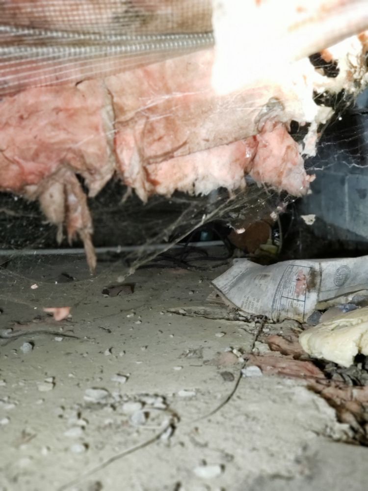 Slide of CP Plumbing and Sewer