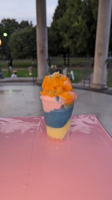 Slushy Lady Italian Ice Mobile Bartending by null