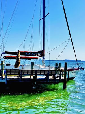 St Pete Beach by null