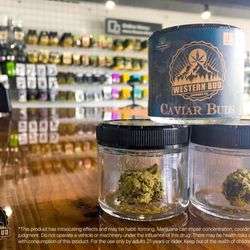 Western Bud - Western Bud Marijuana / Cannabis Shop