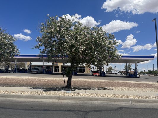 CASSIDY GAS STATION / SHOPPETTE - Updated December 2024 - 48 Photos