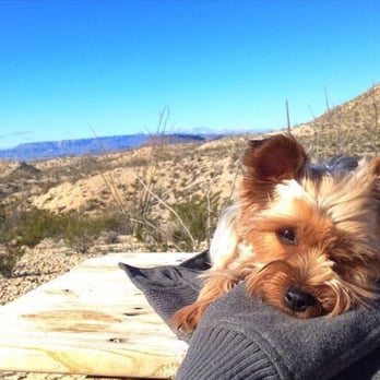 Rancho Topanga Campgrounds - Relaxing after a hike. - Campgrounds Near Me - Terlingua, Texas Rancho Topanga Campgrounds - Relaxing after a hike. - Campgrounds Near Me - Terlingua, Texas