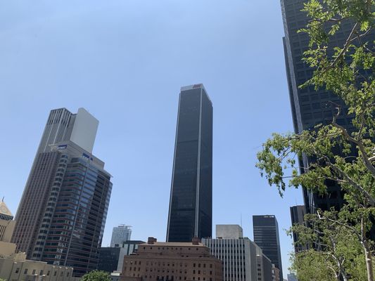 Bonaventure Brewing Co. by null