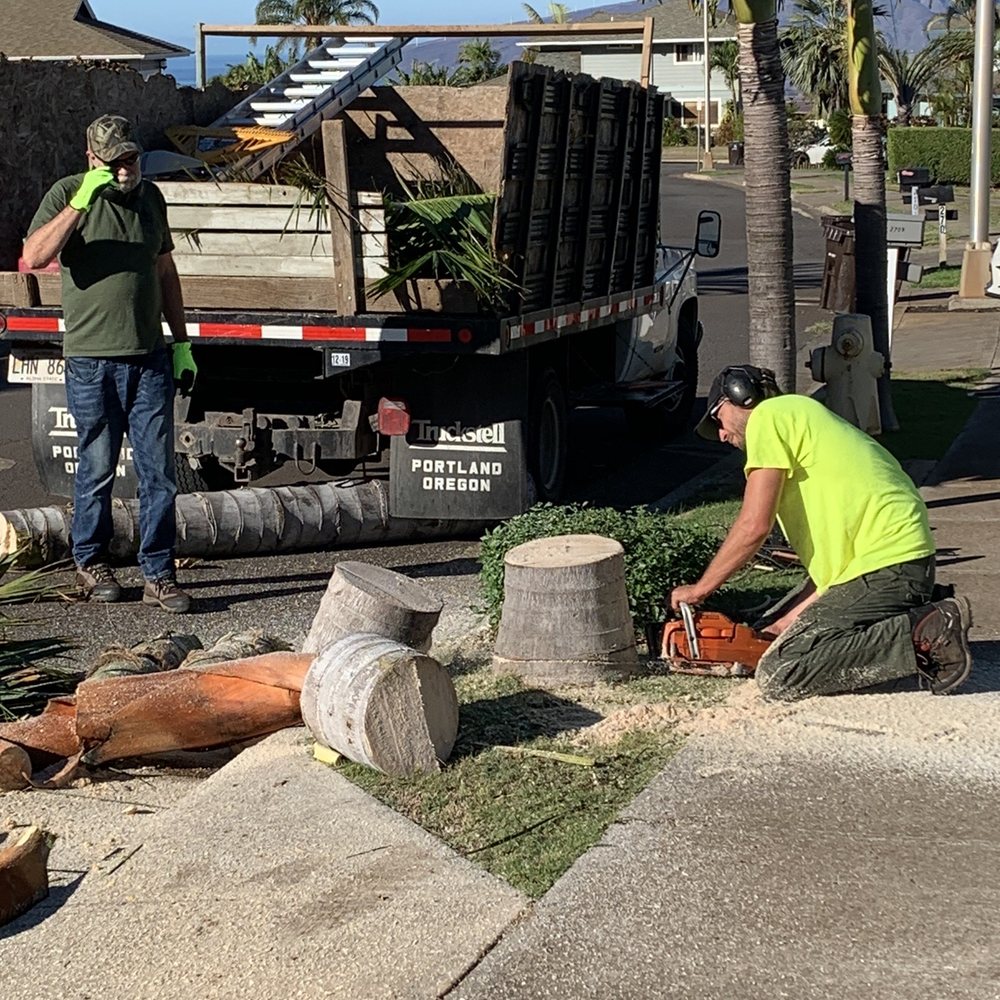 Upcountry Trees - Final cut - Tree Services Near Me