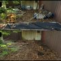 Lewis & Son's Junk Removal