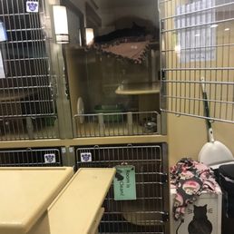 Photos For Petsmart Yelp