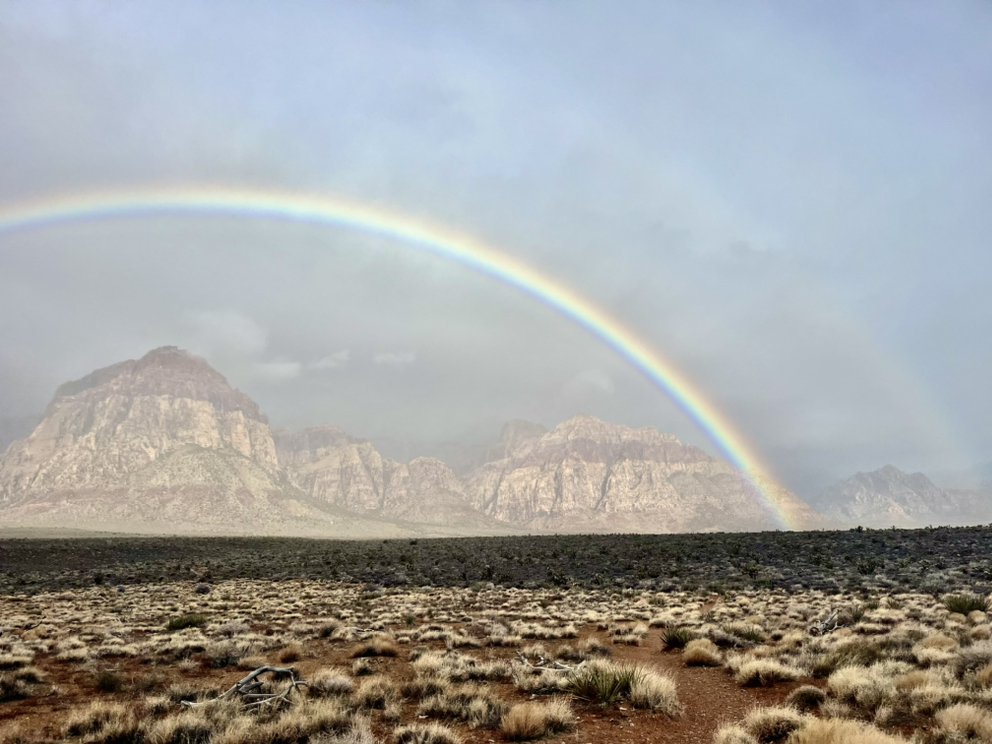 Desert Yoga Escapes With Joshua Berg Logo