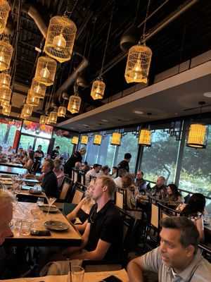 Ling Wu at Lantana Place by null