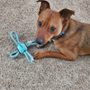 Photo of Jentle Janas Pet Sitting Service