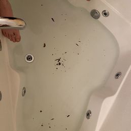 Their "normal" jetted tub Their "normal" jetted tub