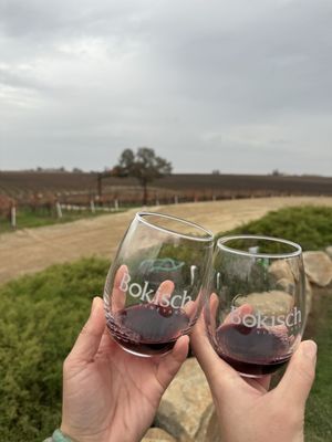 Bokisch Vineyards by null