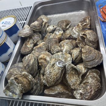 Rods Crab Shack - Oysters - Seafood Near Me - Jacksonville, Florida Rods Crab Shack - Oysters - Seafood Near Me - Jacksonville, Florida