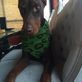 Michael Butchko, DVM - Here is Red! - Veterinarians Near Me - Riverside, California