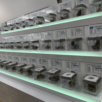 Mint Cannabis - Cannabis Dispensaries Near Me - Portland, Oregon Mint Cannabis - Cannabis Dispensaries Near Me - Portland, Oregon