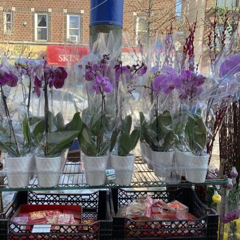 U&me plant house - Nurseries & Gardening Near Me - Brooklyn, New York U&me plant house - Nurseries & Gardening Near Me - Brooklyn, New York