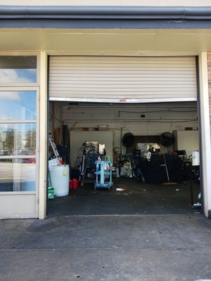 Octopus Car Wash by null