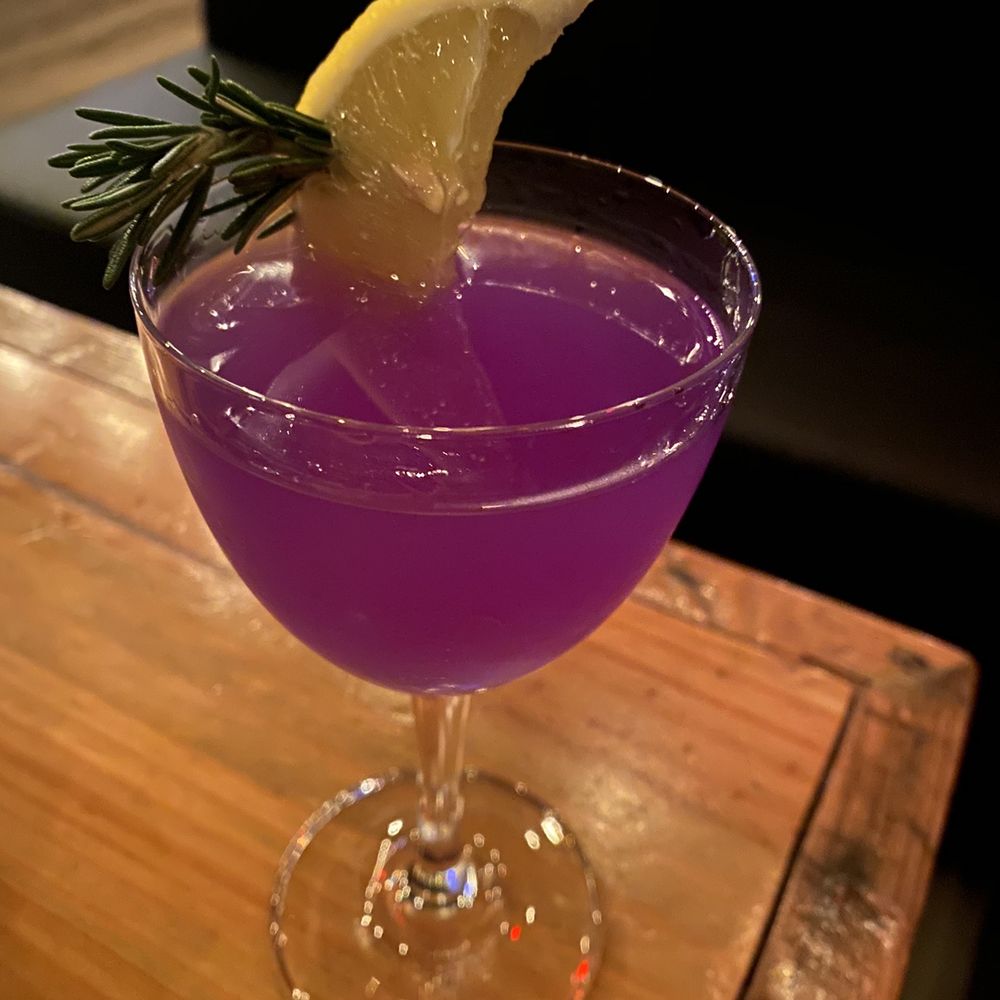 The Blind Elephant - Empress New Groove - Lounges Near Me - Wilmington, North Carolina The Blind Elephant - Empress New Groove - Lounges Near Me - Wilmington, North Carolina